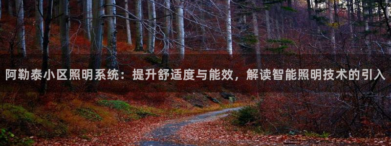千亿国际平台是真是假:阿勒泰小区照明系统:提升舒适度与能效,解读智能照明技术的引入