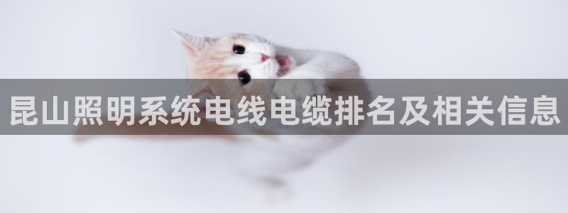 千亿国际网站多少：昆山照明系统电线电缆排