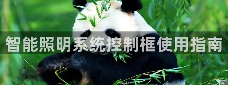 千亿国际系列：智能照明系统控制框使用指南
