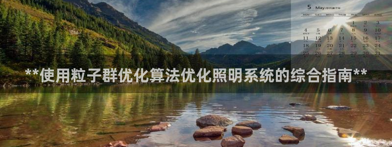 千亿国际手机登录版：**使用粒子群优化算