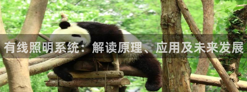 千亿国际公司网址是多少：有线照明系统：解读原理、应用及未来发展
