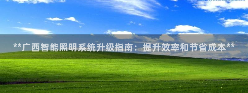 千亿国际公司网址查询:**广西智能照明系统升级指南:提升效率和节省成本**