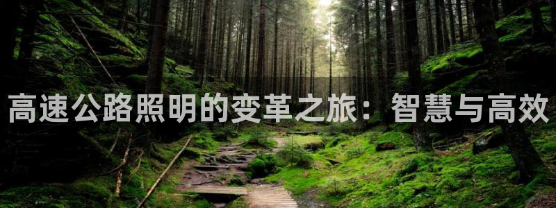 千亿国际pt游戏有哪些:高速公路照明的变革之旅:智慧与高效
