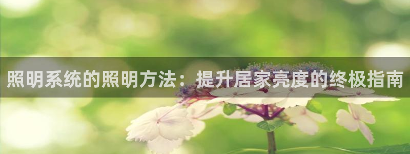 千亿国际打彩是真的吗还是假的：照明系统的