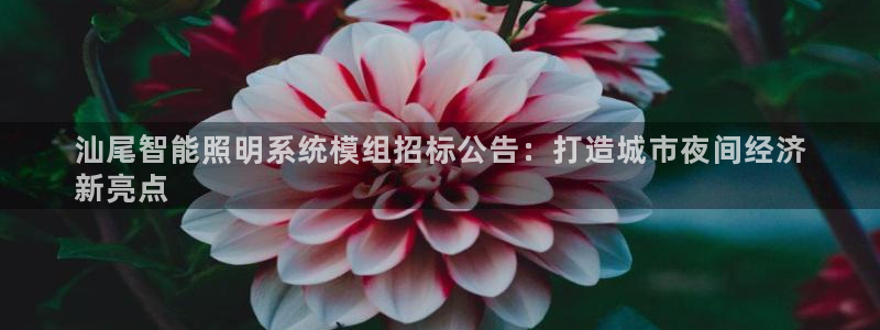 千亿国际网页版:汕尾智能照明系统模组招标公告:打造城市夜间经济
新亮点