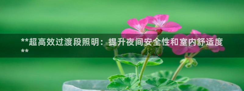 千亿国际qy886:**超高效过渡段照明:提升夜间安全性和室内舒适度
**