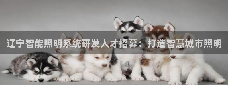 qy886千亿国际下载:辽宁智能照明系统研发人才招募:打造智慧城市照明
