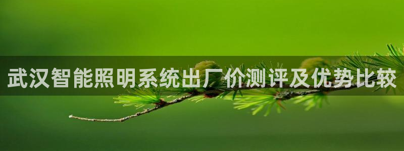 千亿国际希沃赋能教育:武汉智能照明系统出厂价测评及优势比较