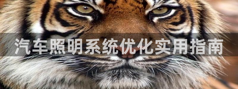 千亿国际官方网站入口:汽车照明系统优化实用指南