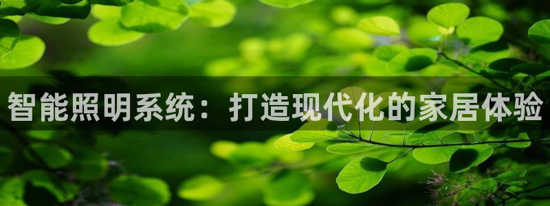 千亿国际真人：智能照明系统：打造现代化的家居体验