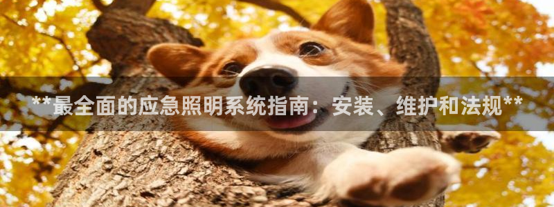 千亿国际欧阳文昊怎么样：**最全面的应急照明系统指南：安装、维护和法规**