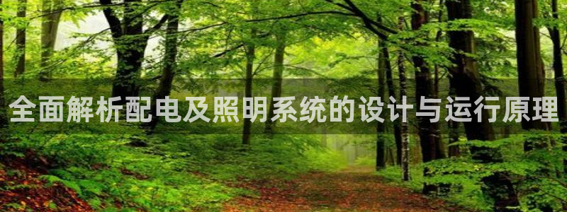 千亿国际全新官网是正品吗:全面解析配电及照明系统的设计与运行原理