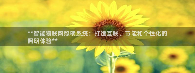千亿国际在线登录：**智能物联网照明系统