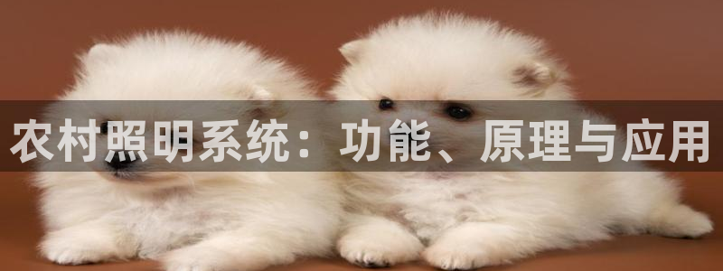 千亿国际集团:农村照明系统:功能、原理与应用